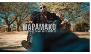 DJ Castro ft Sunny Boy & Lioness – Wapamako