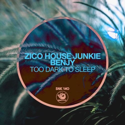 Zico House Junkie Ft. Benjy – Too Dark To Sleep