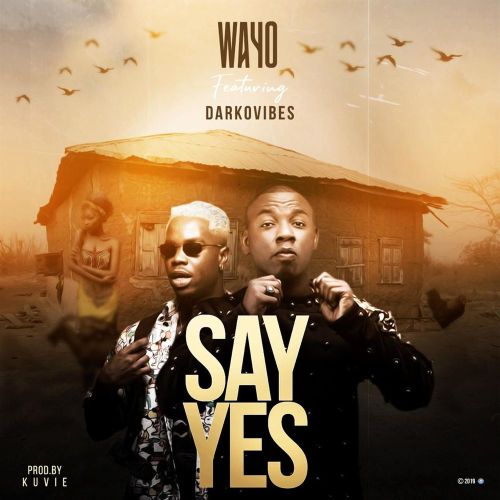 Wayo – Say Yes Ft. Darkovibes