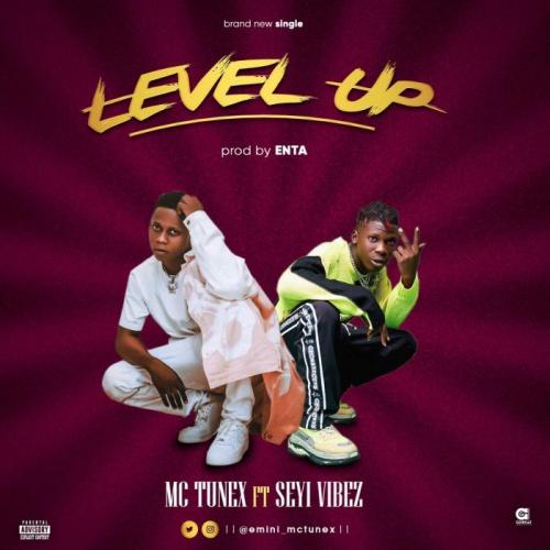 Mc Tunex Ft. Seyi Vibes – Level Up