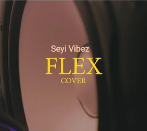 Seyi Vibez – Flex (Cover)