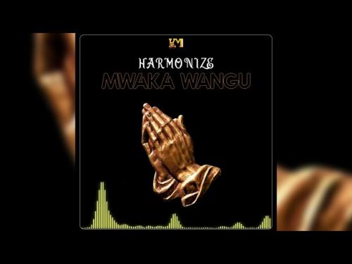 Harmonize – Mwaka Wangu