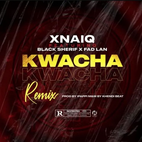 Xnaiq Ft. Black Sherif & Fad Lan – Kwacha (Remix)