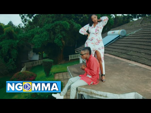 Mr Seed – Baby Love Ft. Miss P