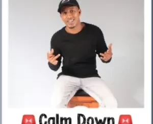 DJ Ace – Calm Down