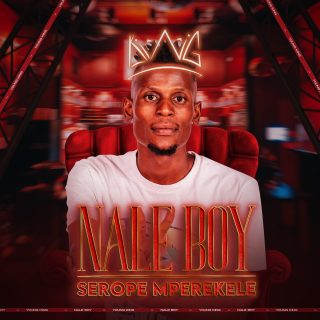 Naleboy Young King – Saka Le Bona Ft. Chechi The DJ