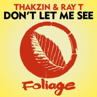 Thakzin – Don’t Let Me See Ft. Ray T